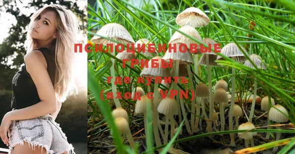 PSILOCYBIN Армянск