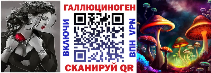 Галлюциногенные грибы Psilocybe  Ревда 