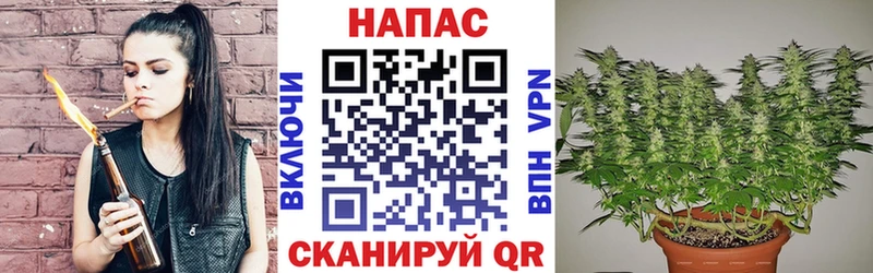 Конопля MAZAR  Ревда 